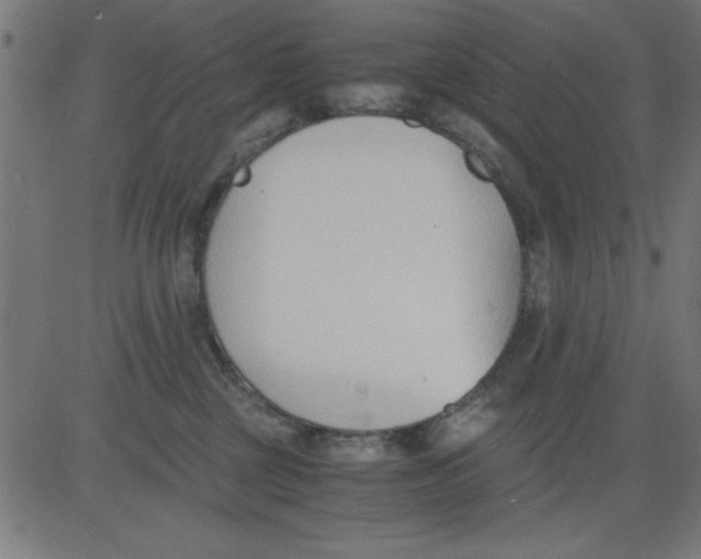 X0000081290377200702012250