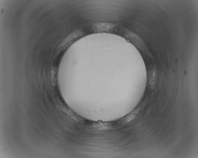 X0000081290378200702012250