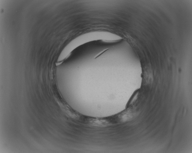 X0000081290379200702012250