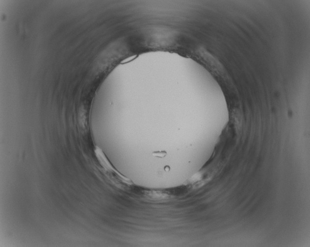 X0000081290380200702012250