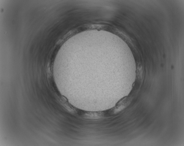 X0000081290381200702012250