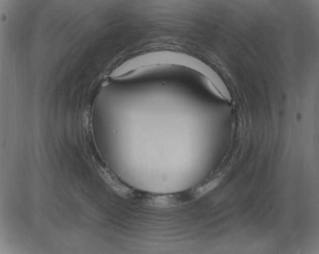 X0000081290382200702012250