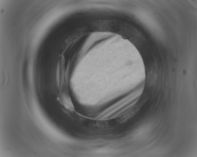 X0000081290383200702012250