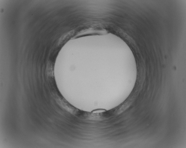 X0000081290384200702012250