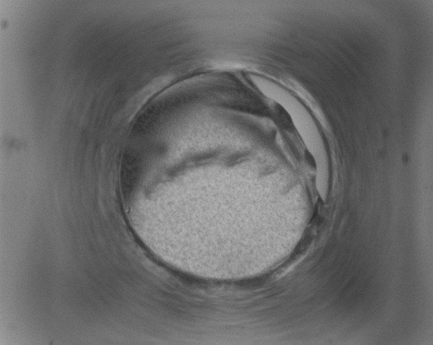 X0000081290385200702012249