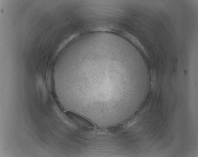 X0000081290386200702012249