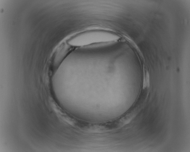 X0000081290387200702012249