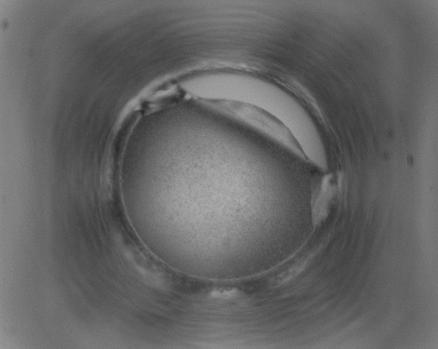 X0000081290388200702012249