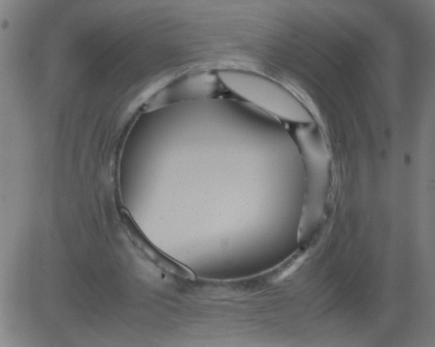 X0000081290389200702012249