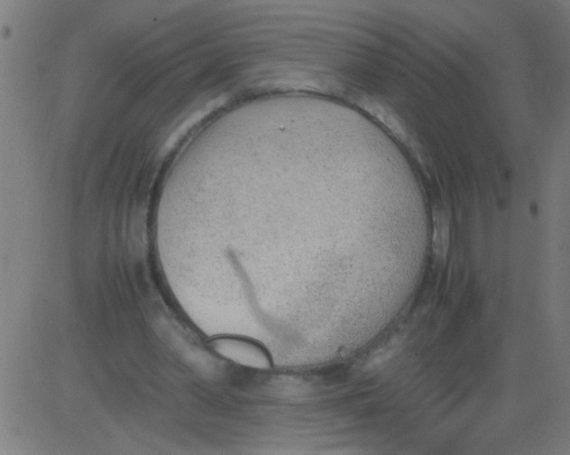 X0000081290390200702012249