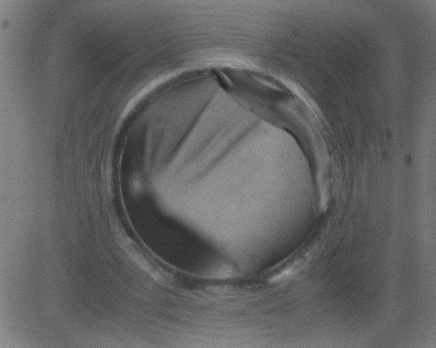 X0000081290391200702012249