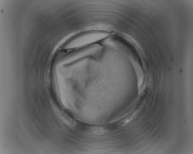 X0000081290392200702012249