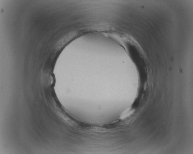 X0000081290393200702012249