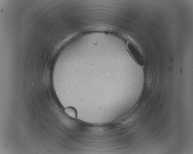 X0000081290394200702012249