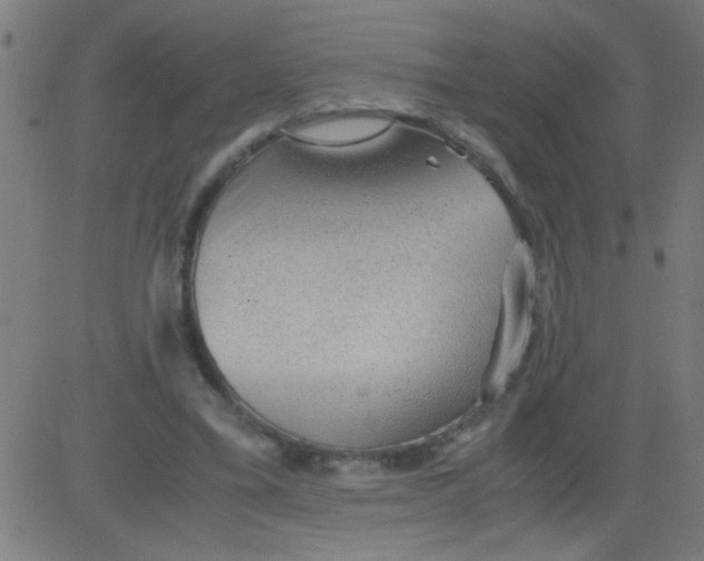 X0000081290395200702012249