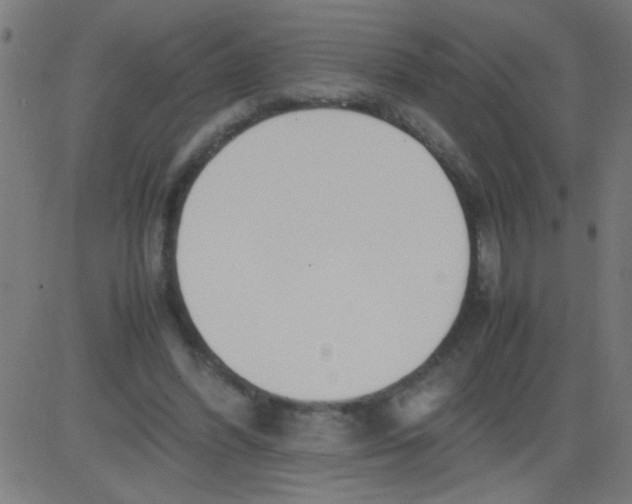 X0000081290396200702012249