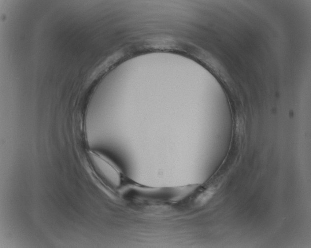 X0000081290397200702012249