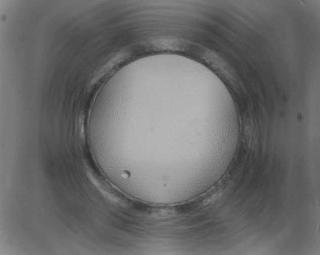 X0000081290398200702012249