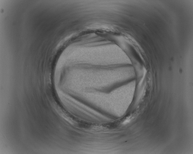 X0000081290399200702012249