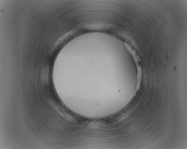 X0000081290400200702012249