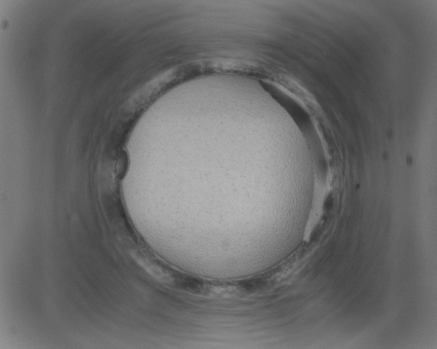 X0000081290401200702012249