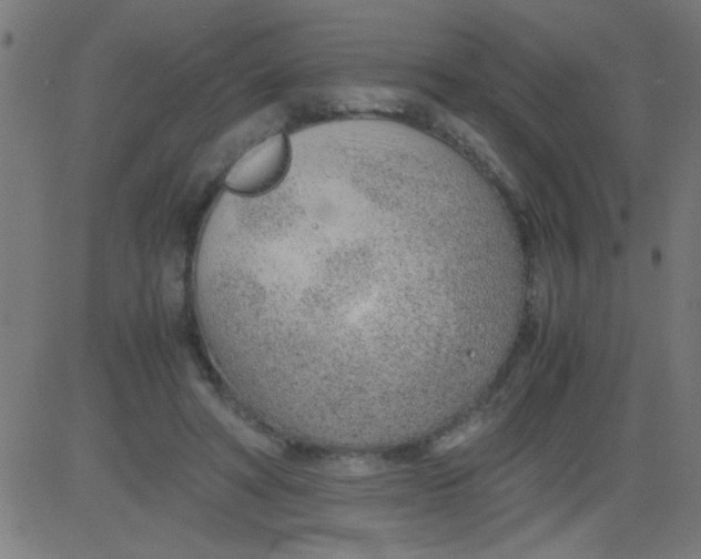 X0000081290402200702012249