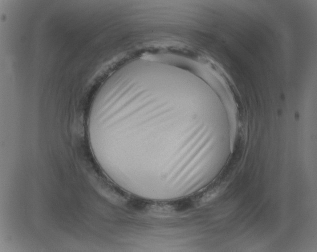 X0000081290403200702012249