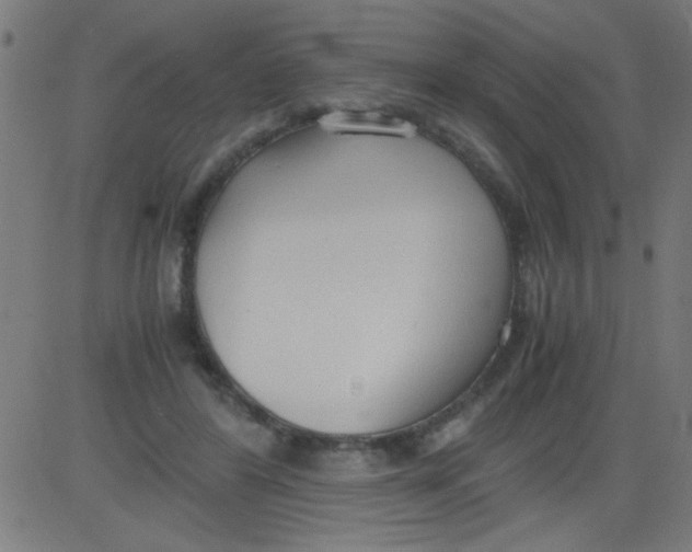 X0000081290404200702012249