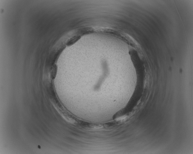 X0000081290405200702012249