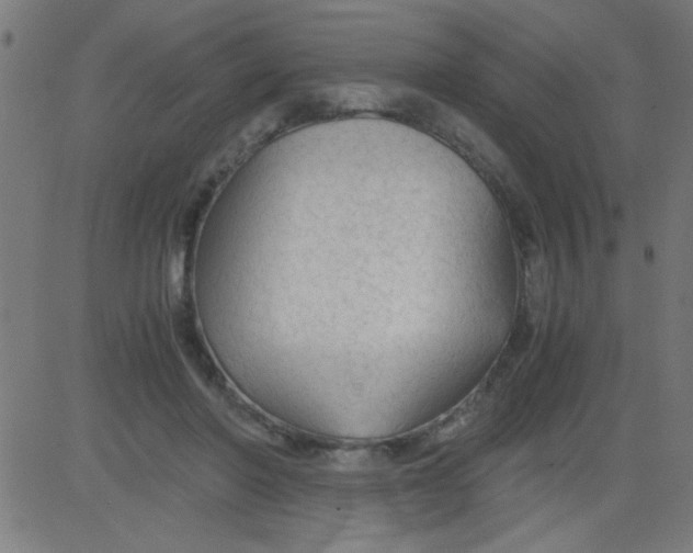 X0000081290406200702012249