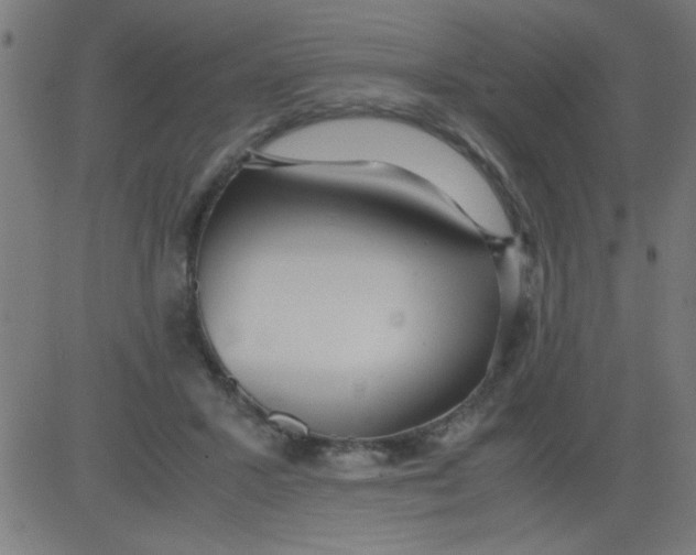 X0000081290407200702012249