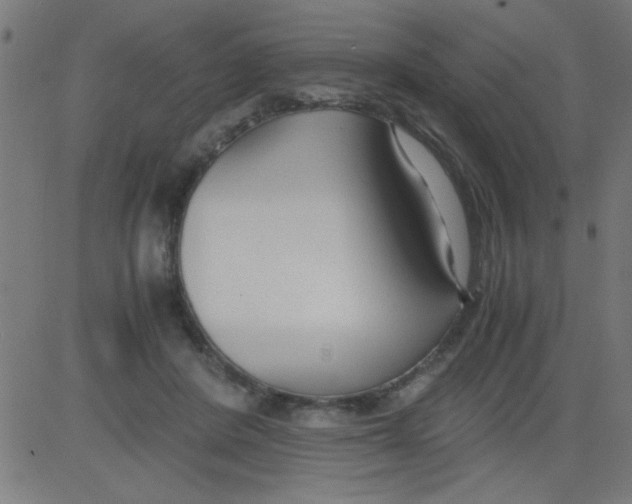 X0000081290408200702012249