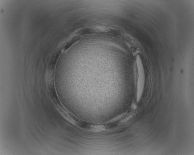 X0000081290409200702012249