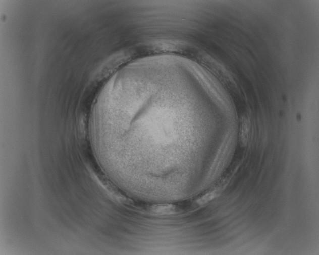 X0000081290410200702012249