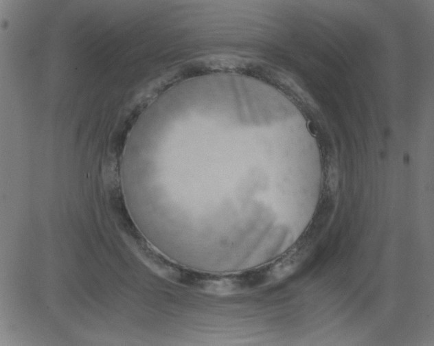 X0000081290411200702012249