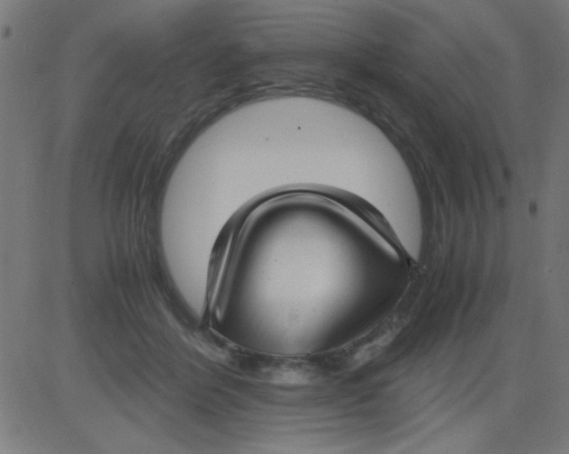 X0000081290412200702012249