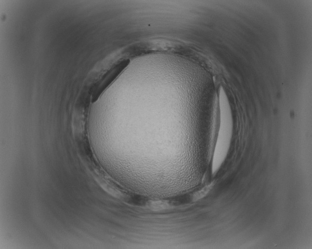 X0000081290413200702012249