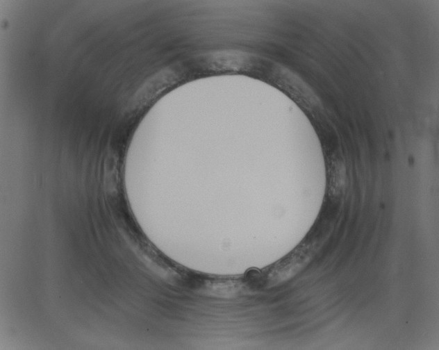 X0000081290414200702012249