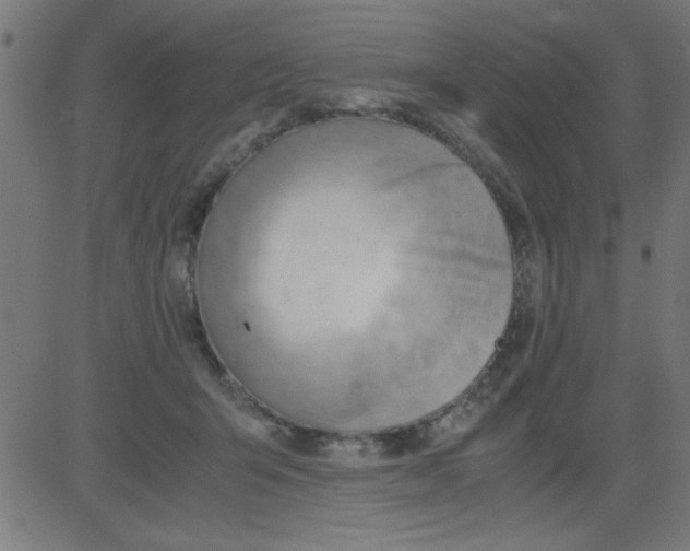 X0000081290415200702012249