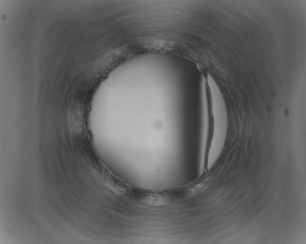 X0000081290416200702012249