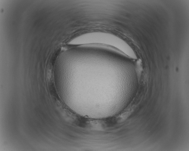 X0000081290417200702012249