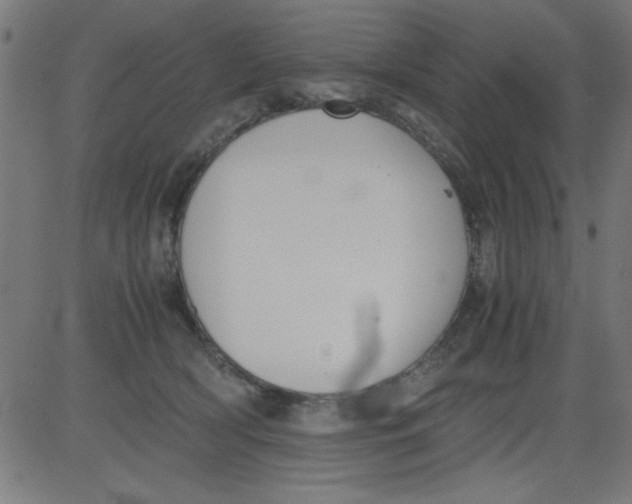 X0000081290418200702012249