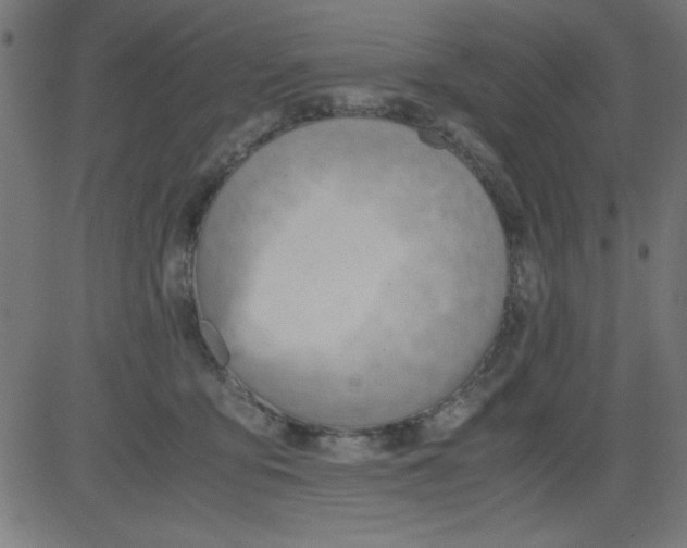 X0000081290419200702012249