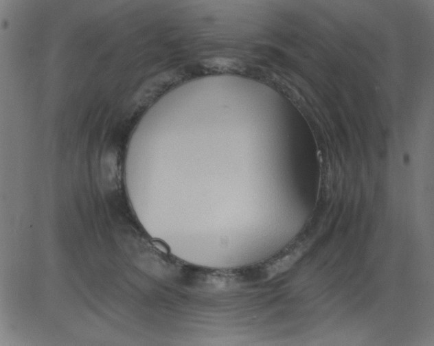 X0000081290420200702012249