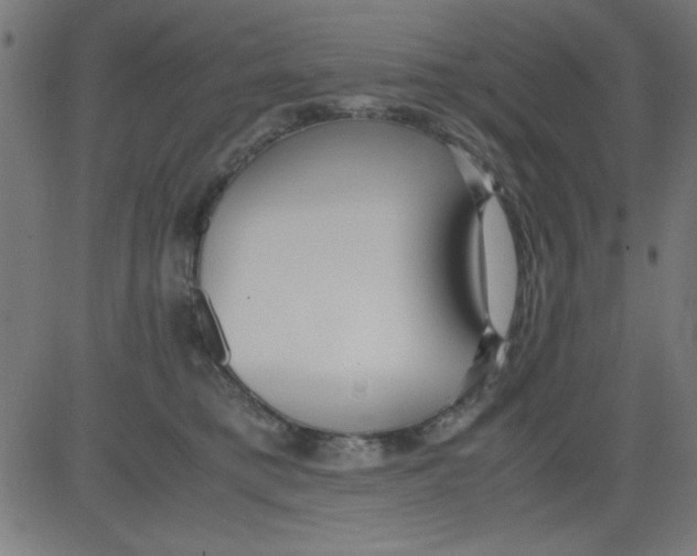 X0000081290421200702012249