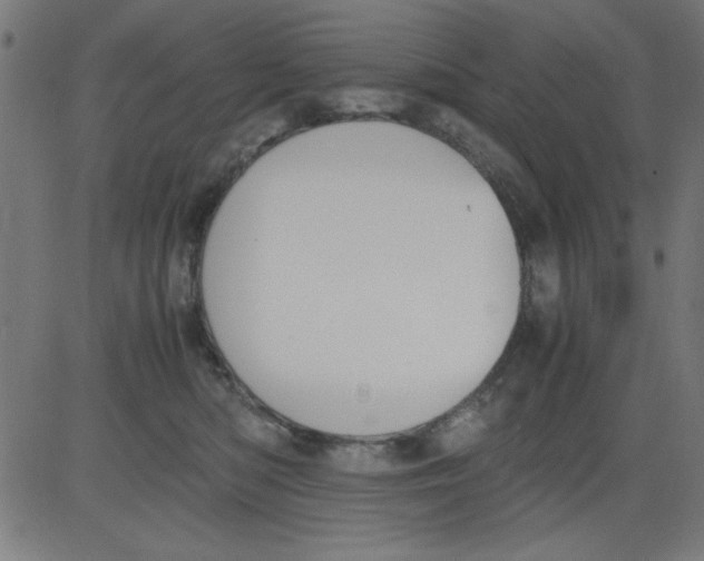 X0000081290422200702012249