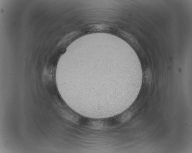 X0000081290423200702012249