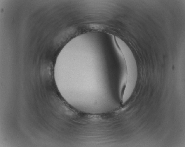 X0000081290424200702012249