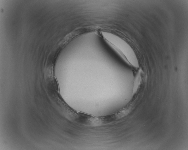 X0000081290425200702012249