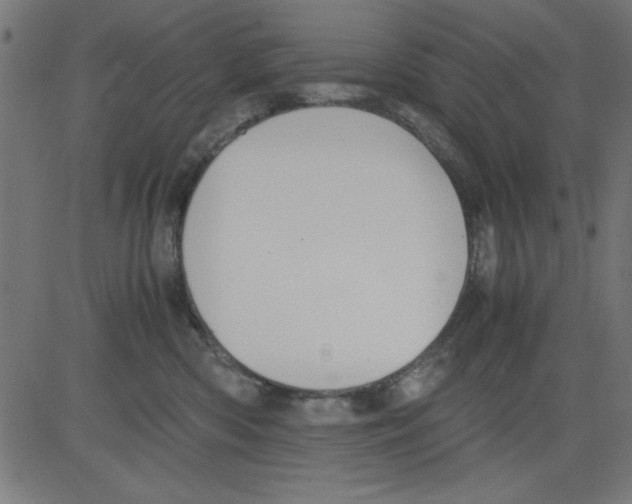 X0000081290426200702012249